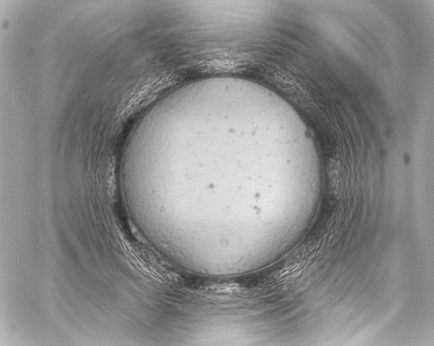 X0000057070642200510071433