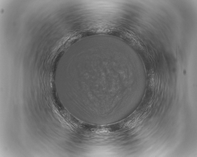 X0000057070643200510071433