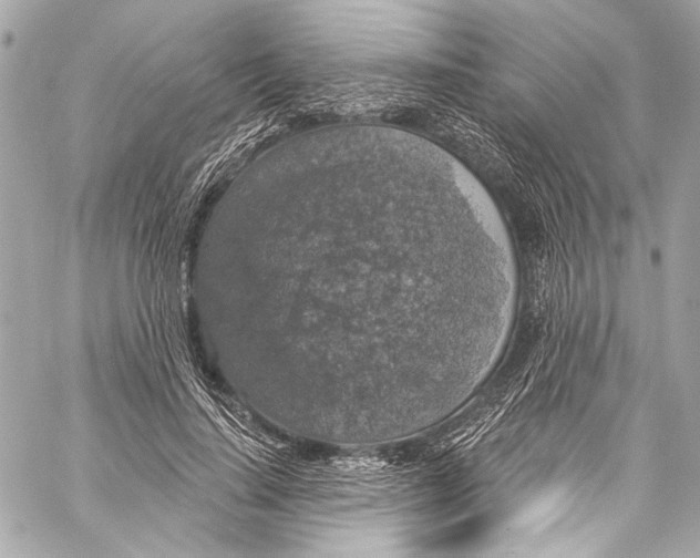 X0000057070644200510071433