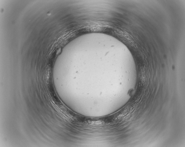 X0000057070645200510071433