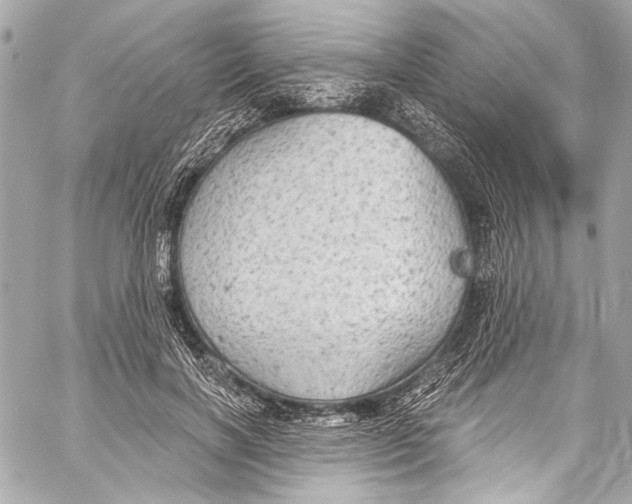 X0000057070646200510071433