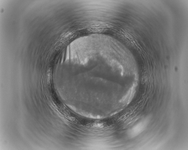 X0000057070647200510071433