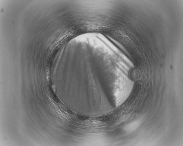 X0000057070648200510071433