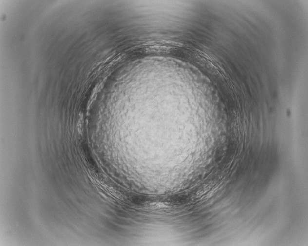 X0000057070649200510071433