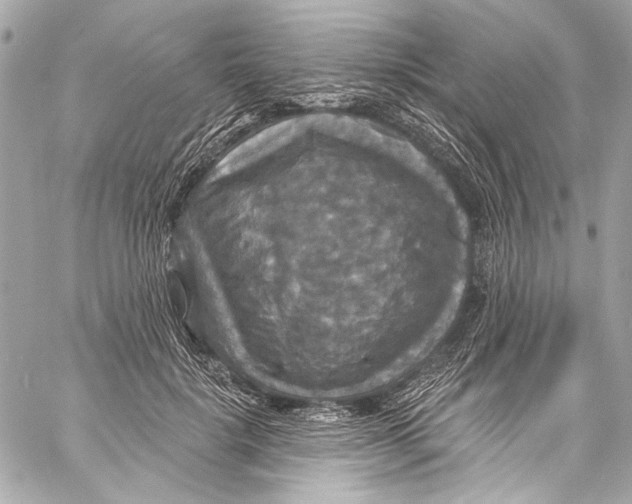 X0000057070652200510071433