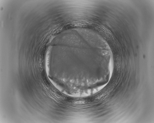 X0000057070653200510071434