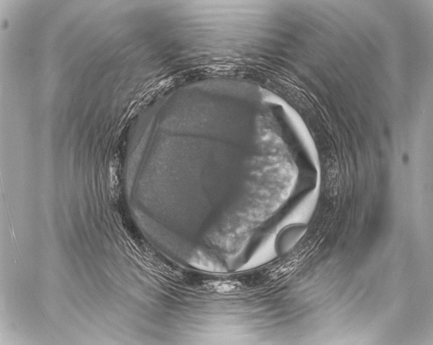 X0000057070654200510071434