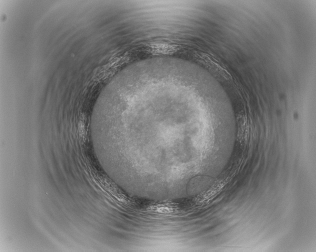 X0000057070655200510071434