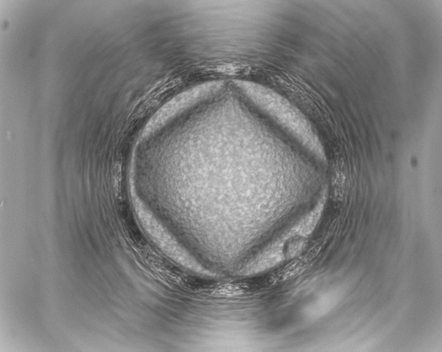 X0000057070656200510071434