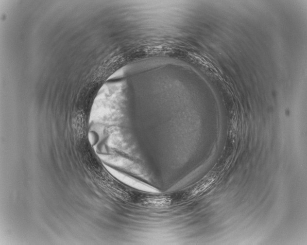 X0000057070659200510071434