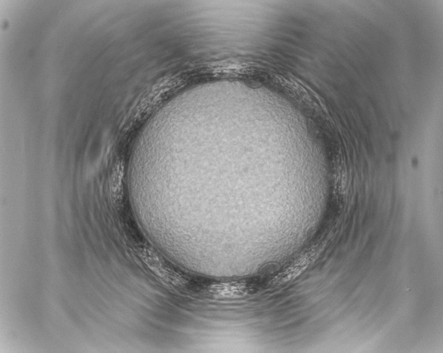 X0000057070660200510071434