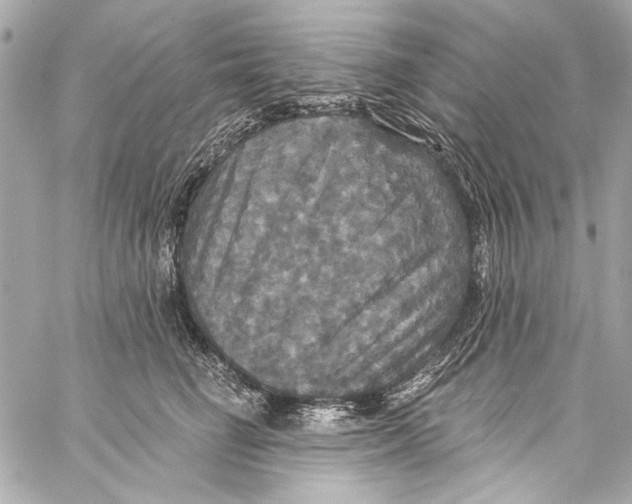 X0000057070662200510071434