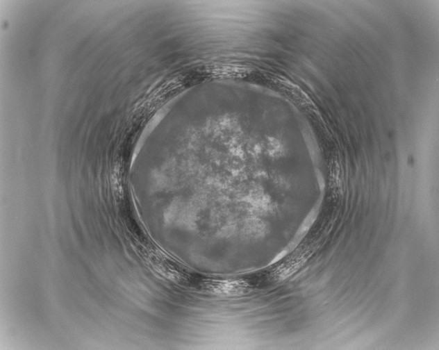 X0000057070663200510071434