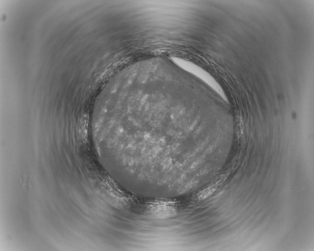 X0000057070664200510071434