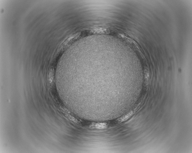 X0000057070665200510071434