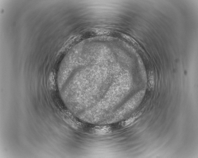 X0000057070667200510071434