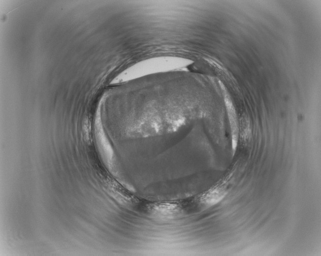 X0000057070669200510071434