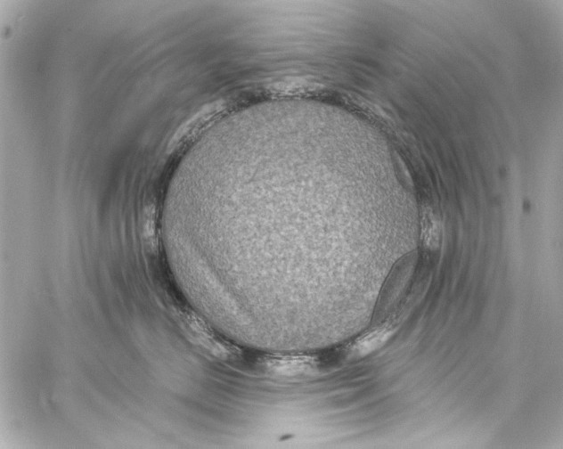 X0000057070670200510071434