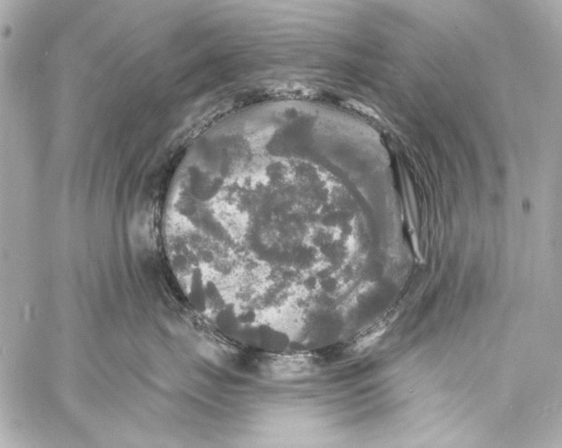 X0000057070671200510071434