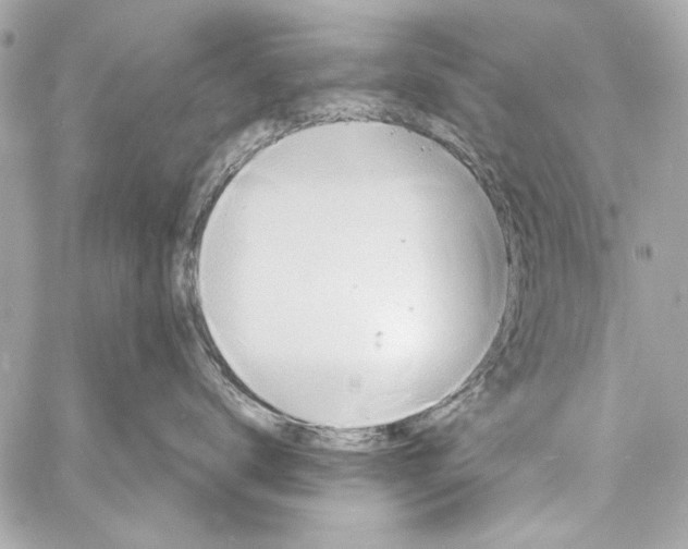 X0000057070672200510071434