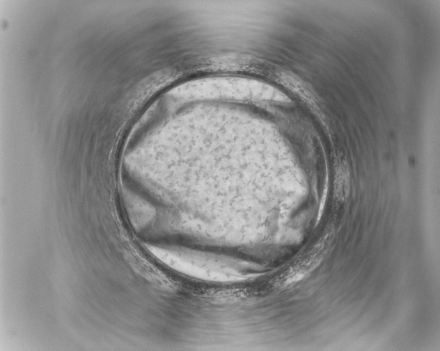 X0000057070673200510071433