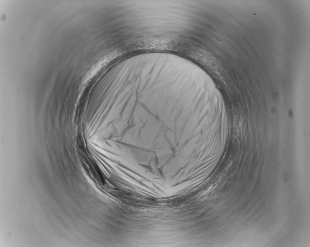 X0000057070674200510071433