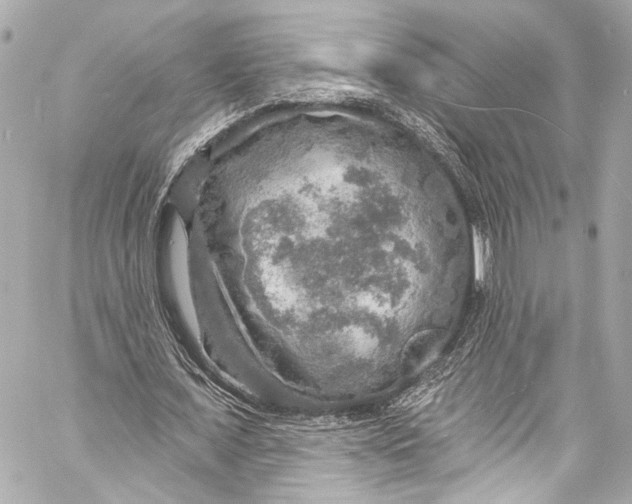 X0000057070675200510071433