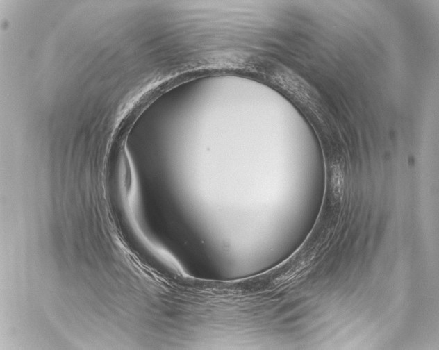 X0000057070676200510071433