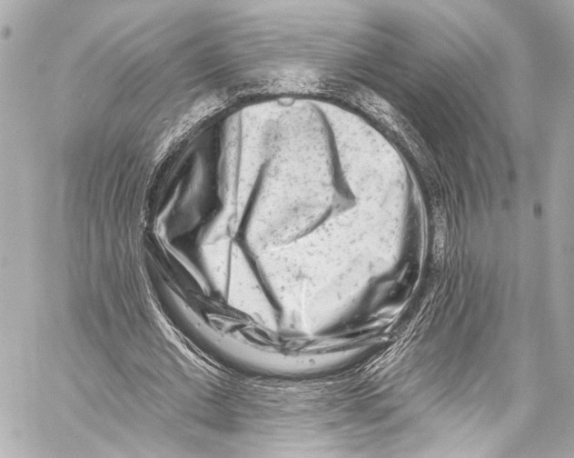 X0000057070677200510071433