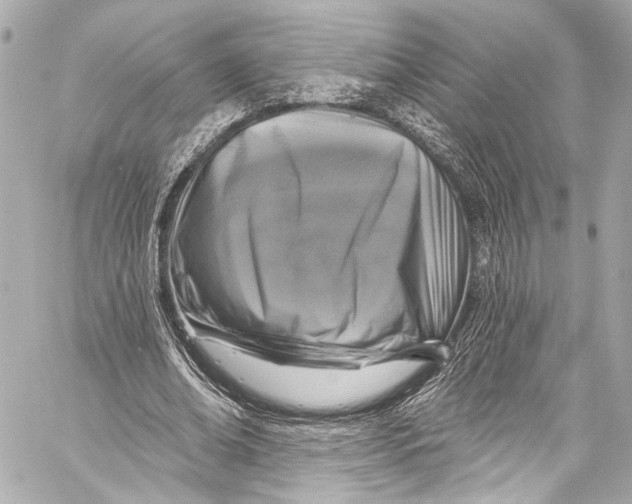 X0000057070678200510071433