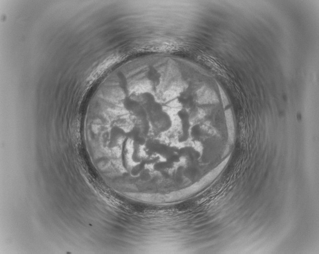 X0000057070679200510071433