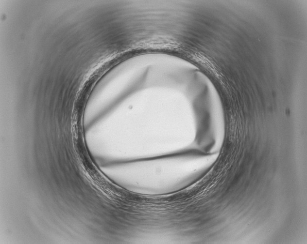 X0000057070680200510071433