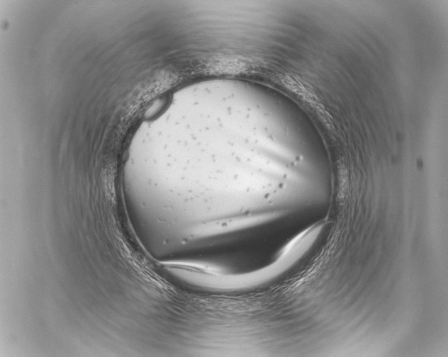 X0000057070681200510071433