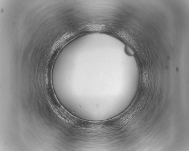 X0000057070682200510071433