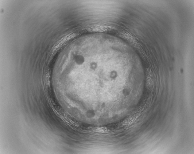 X0000057070683200510071433