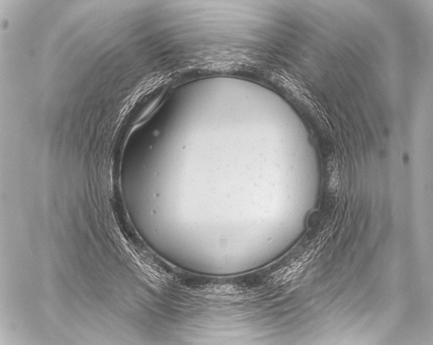 X0000057070685200510071433