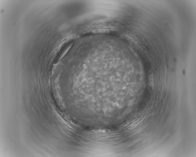 X0000057070687200510071433