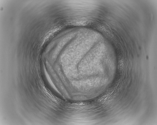 X0000057070688200510071433