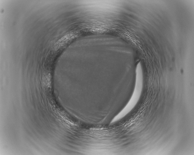 X0000057070689200510071433