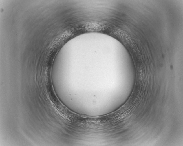 X0000057070690200510071433