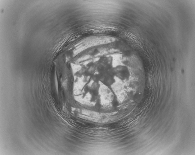 X0000057070691200510071433