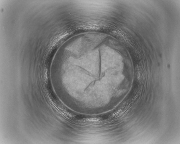 X0000057070692200510071433