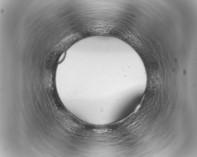 X0000057070693200510071433