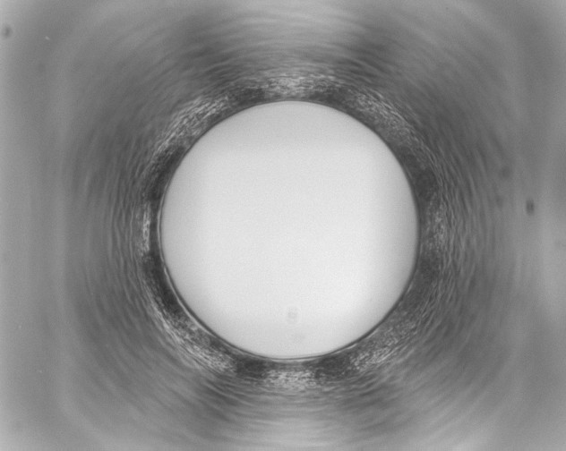 X0000057070694200510071433