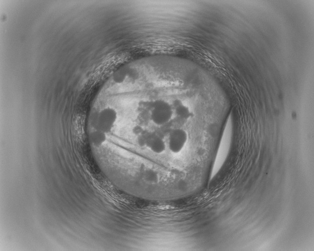 X0000057070695200510071433