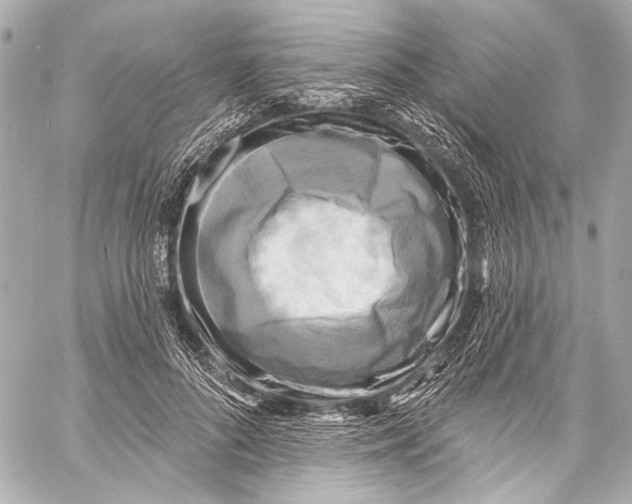 X0000057070696200510071433