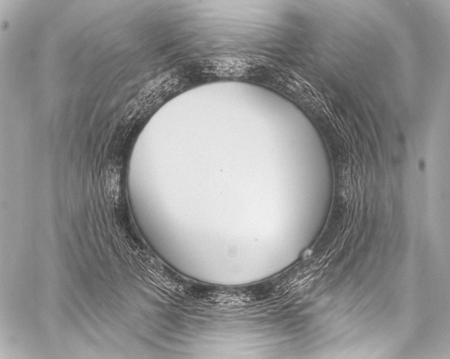 X0000057070697200510071433