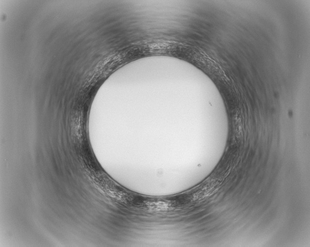 X0000057070698200510071433