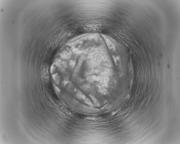 X0000057070699200510071433