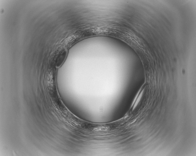 X0000057070700200510071433